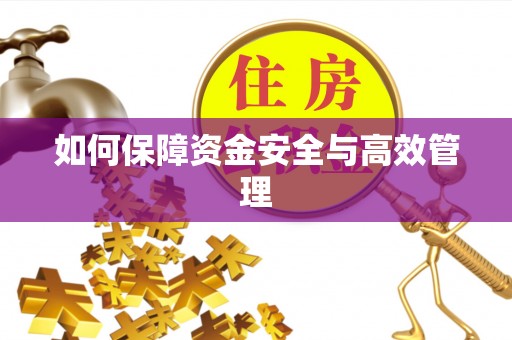 泗阳如何保障资金安全与高效管理