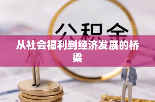 泗阳从社会福利到经济发展的桥梁