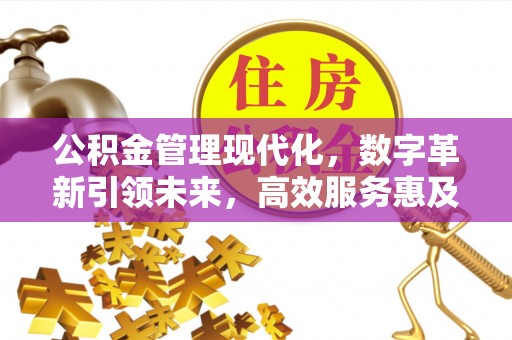 泗阳公积金管理现代化，数字革新引领未来，高效服务惠及民生