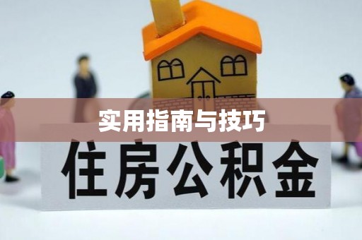 泗阳实用指南与技巧