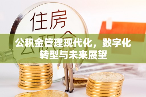 泗阳公积金管理现代化，数字化转型与未来展望