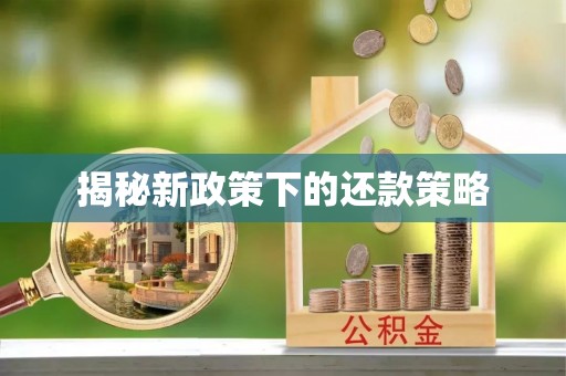 泗阳揭秘新政策下的还款策略