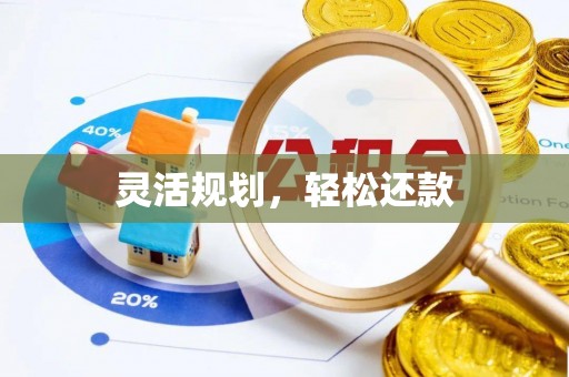 泗阳灵活规划，轻松还款
