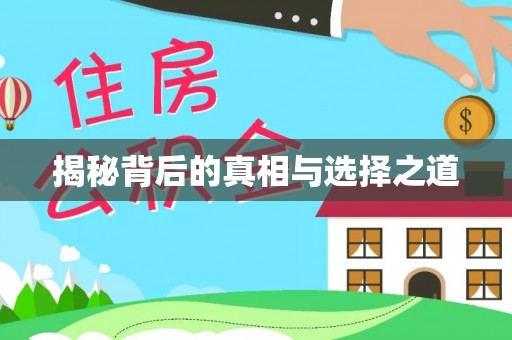 泗阳揭秘背后的真相与选择之道