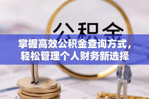 泗阳掌握高效公积金查询方式，轻松管理个人财务新选择