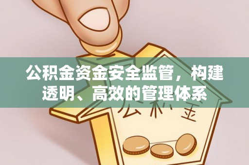 泗阳公积金资金安全监管，构建透明、高效的管理体系