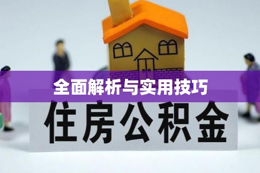 泗阳全面解析与实用技巧