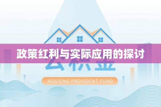 泗阳政策红利与实际应用的探讨