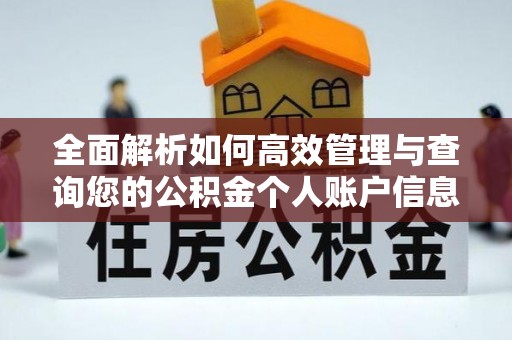 泗阳全面解析如何高效管理与查询您的公积金个人账户信息