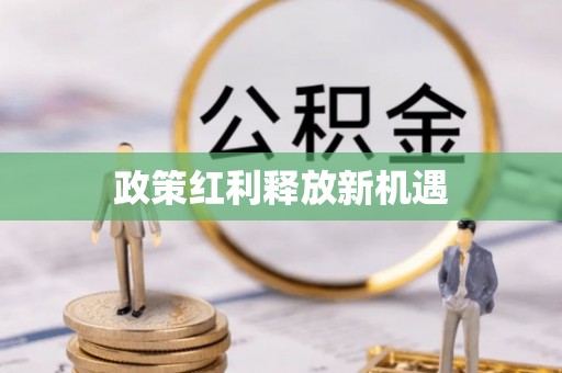 泗阳政策红利释放新机遇