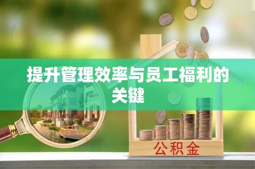 泗阳提升管理效率与员工福利的关键