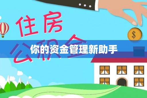 泗阳你的资金管理新助手