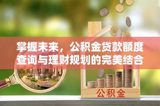 泗阳掌握未来，公积金贷款额度查询与理财规划的完美结合