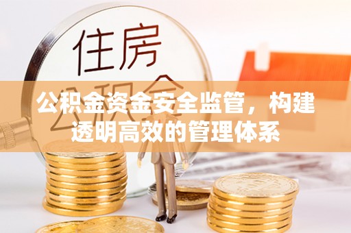 泗阳公积金资金安全监管，构建透明高效的管理体系