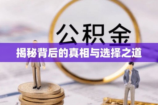 泗阳揭秘背后的真相与选择之道