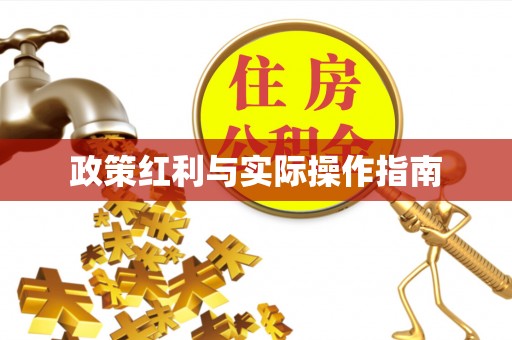 泗阳政策红利与实际操作指南