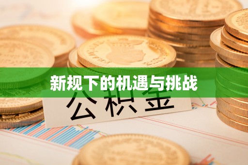 泗阳新规下的机遇与挑战