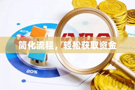 泗阳简化流程，轻松获取资金