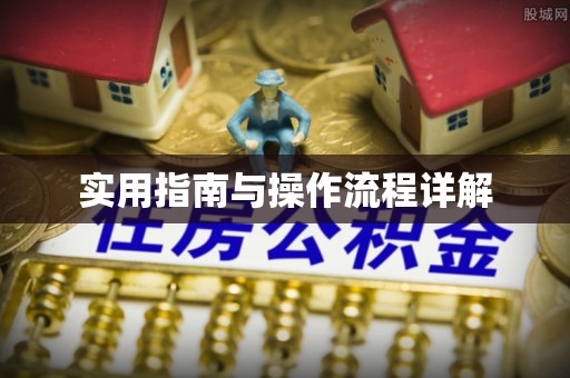 泗阳实用指南与操作流程详解