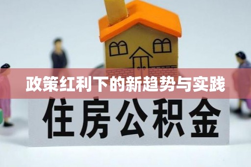 泗阳政策红利下的新趋势与实践