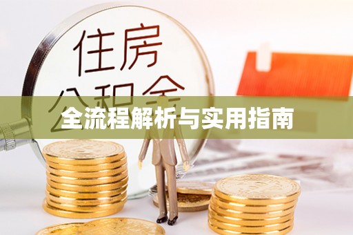 泗阳全流程解析与实用指南