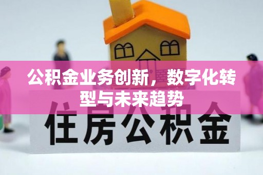 泗阳公积金业务创新，数字化转型与未来趋势