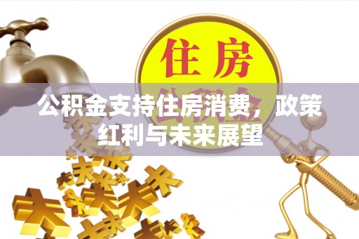 泗阳公积金支持住房消费，政策红利与未来展望