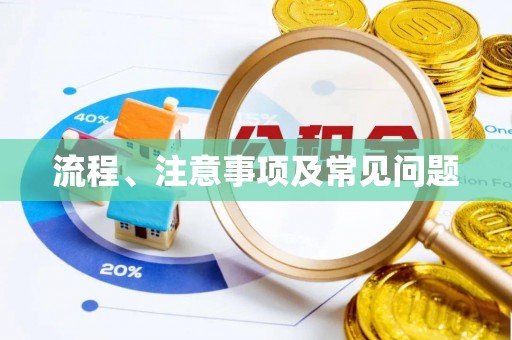 泗阳流程、注意事项及常见问题