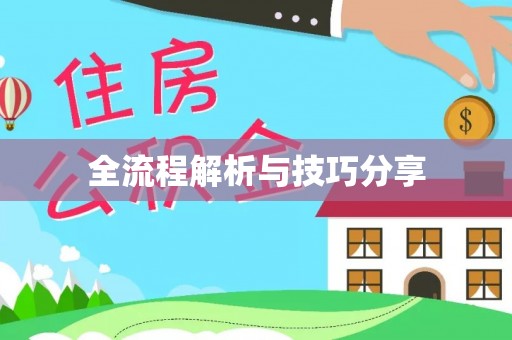泗阳全流程解析与技巧分享