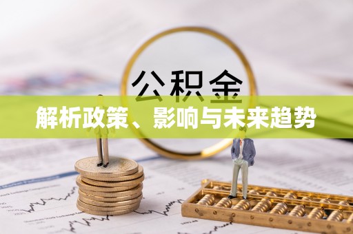 泗阳解析政策、影响与未来趋势